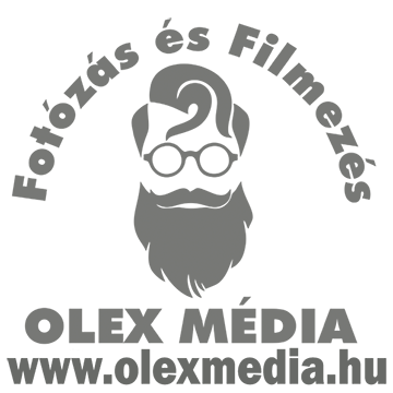 Olex Média